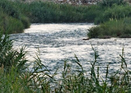 افزایش کیفیت آب رودخانه زهره با بهره‌برداری از سد چمشیر