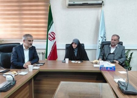 واحد نخست نیروگاه محمودآباد تا ۱۵ ماه آینده وارد مدار می‌شود